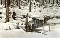 Simplicity in Detail Fine Art Print