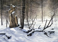 Symphony of Life Fine Art Print