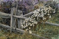 The Last Dance Fine Art Print