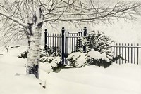 The Value of White Fine Art Print