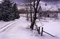 Through the Woods Fine Art Print