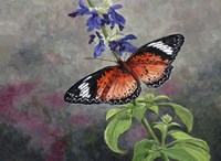 Tropical Queen Fine Art Print