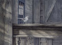 Urban Camo Fine Art Print