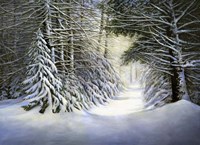Winter Song Fine Art Print