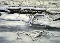 Winter Walk Fine Art Print