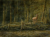 First Light Fine Art Print