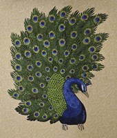 Peacock Stitched Fine Art Print