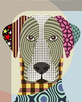 Great Dane Dog Fine Art Print