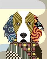 Irish Setter Fine Art Print