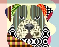 American Bulldog Fine Art Print