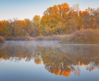 Autumn's Reflection Fine Art Print