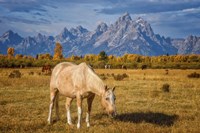 Breakfast in the Tetons Fine Art Print