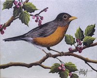 Robin Fine Art Print