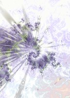 Alpha Fine Art Print