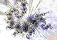 Celestial  copy Fine Art Print