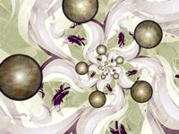 Morning Glory Fine Art Print