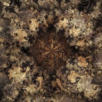 Metamorphic Fine Art Print