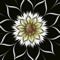 He Loves Me Fine Art Print