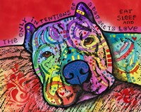 Intentions Fine Art Print