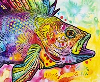 Fish Fine Art Print