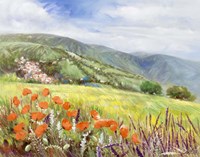 Blooming Poppy 1 Fine Art Print