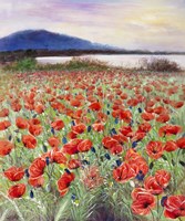 Blooming Poppy 2 Fine Art Print