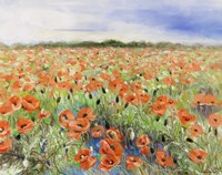 Blooming Poppy 3 Fine Art Print