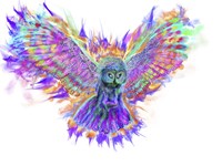 Electric Owl 1 Fine Art Print
