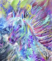 Horse Head Fine Art Print