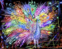 Peacock Nexsus Fine Art Print