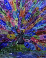 Rainbow Peacock Fine Art Print