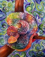 Rainbow Snake Fine Art Print
