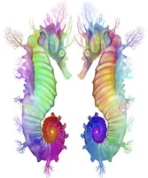 Two Seahorse Fine Art Print
