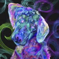 Puppy12 Fine Art Print