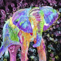 Elephant Fine Art Print