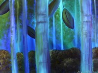 Simply Birch Fine Art Print