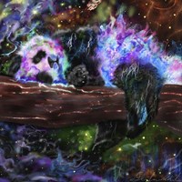 Panda Lust Fine Art Print