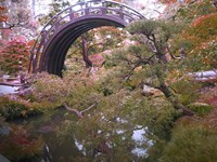 Nature Park Fine Art Print