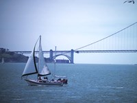 Sailboat Fine Art Print
