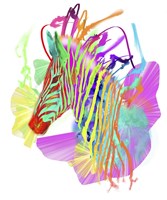 Zebra Head 1 Fine Art Print