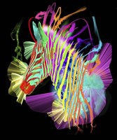 Zebra Head 2 Fine Art Print