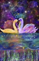 Swan111 Framed Print