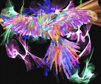 Parrot Black Framed Print