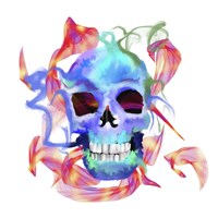Skull Fine Art Print