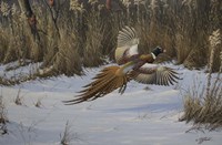 Landing Zone Fine Art Print