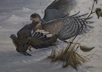 Sudden Impact Fine Art Print