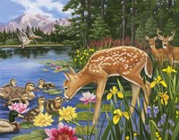 Making New Friends Fine Art Print