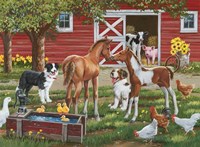 Welcoming The New Pony Fine Art Print