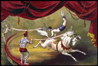 Circus 13 Fine Art Print