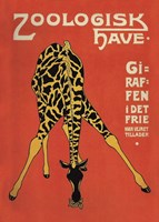 Copenhagen Zoo Fine Art Print